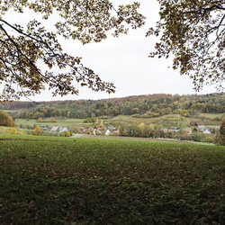 2023-11-09 - Fränkischer Jakobsweg: Gräfenberg - Kalchreuth