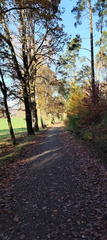 Meyernberg - Saas