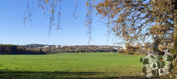 Meyernberg - Saas