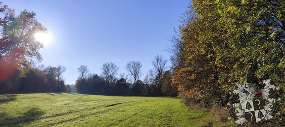 Meyernberg - Saas