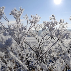 2024-12-25 - Winterliches Fichtelgebirge