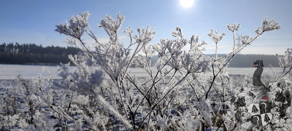 Winterliches Fichtelgebirge