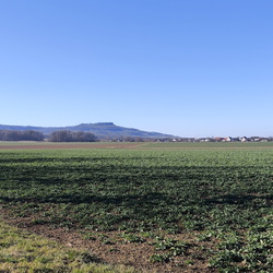 2025-03-19 - Oberfränkischer Jakobusweg: Lichtenfels - Zapfendorf