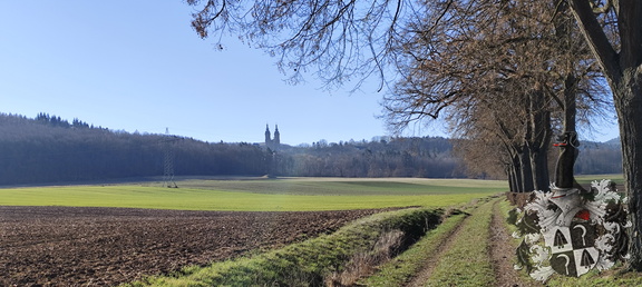Oberfränkischer Jakobusweg: Lichtenfels - Zapfendorf