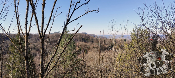 Oberfränkischer Jakobusweg: Lichtenfels - Zapfendorf
