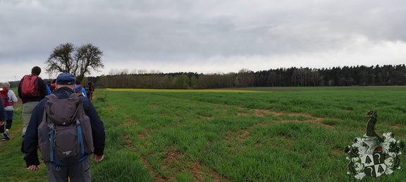 Oberfränkischer Jakobusweg: Creußen - Pegnitz