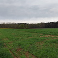 Oberfränkischer Jakobusweg: Creußen - Pegnitz