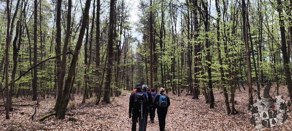 Oberfränkischer Jakobusweg: Creußen - Pegnitz
