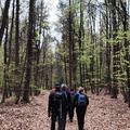 Oberfränkischer Jakobusweg: Creußen - Pegnitz