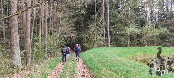 Oberfränkischer Jakobusweg: Creußen - Pegnitz