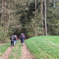 Oberfränkischer Jakobusweg: Creußen - Pegnitz