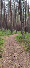 Oberfränkischer Jakobusweg: Creußen - Pegnitz