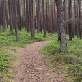 Oberfränkischer Jakobusweg: Creußen - Pegnitz