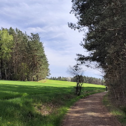 2025-04-21 - Oberfraenkischer Jakobusweg - Creussen - Pegnitz