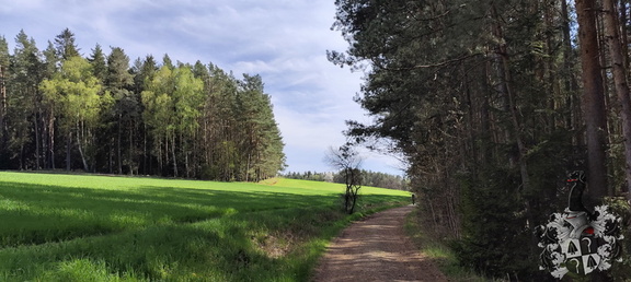 Oberfränkischer Jakobusweg: Creußen - Pegnitz