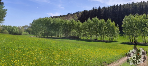 Mittelfränkischer Jakobusweg - Bürglein - Heilsbronn