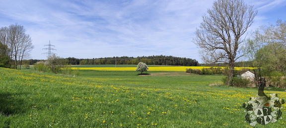 Mittelfränkischer Jakobusweg - Bürglein - Heilsbronn