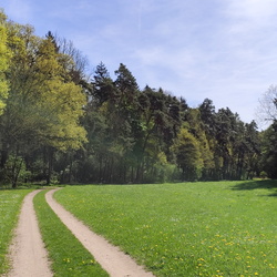 2025-04-27 - Mittelfränkischer Jakobusweg - Bürglein - Heilsbronn