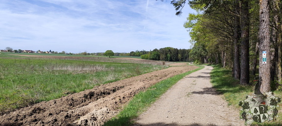 Mittelfränkischer Jakobusweg - Bürglein - Heilsbronn