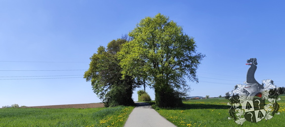 Hohe Straße