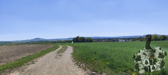 Hohe Straße