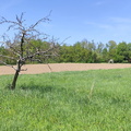 Bayreuth