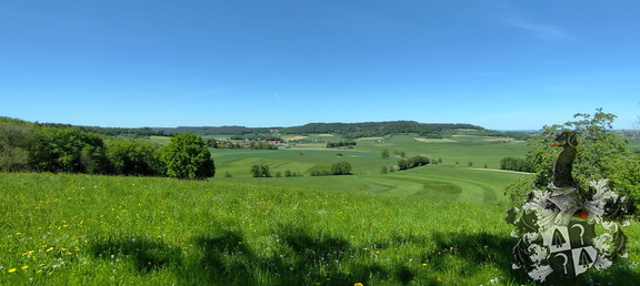 Begegnen - Bewegen - Besinnen: Via Imperi von Glashütten auf die Neubürg