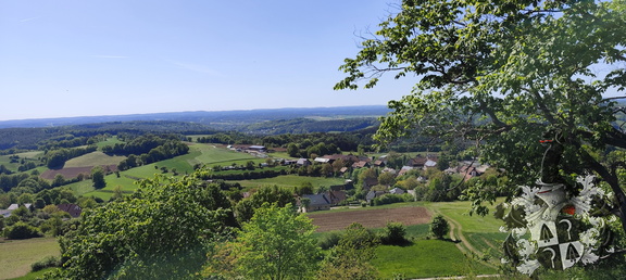 IMG 20250510 155500