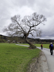 Saisonstart Jakobspilgern: Marktschorgast - Himmelkron - Kulmbach