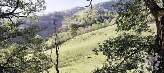 Camino Francés: Saint-Jean-Pied-de-Port - Roncesvalles