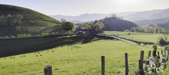 Camino Francés: Saint-Jean-Pied-de-Port - Roncesvalles