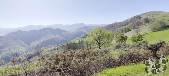 Camino Francés: Saint-Jean-Pied-de-Port - Roncesvalles