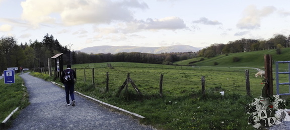 Camino Francés: Roncesvalles - Zubiri