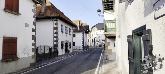 Camino Francés: Roncesvalles - Zubiri