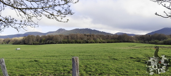 Camino Francés: Roncesvalles - Zubiri