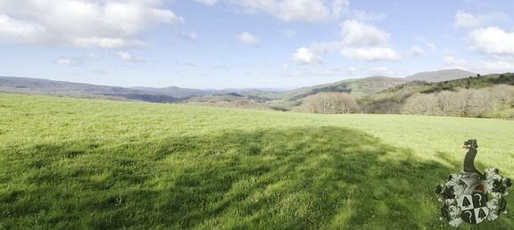 Camino Francés: Roncesvalles - Zubiri