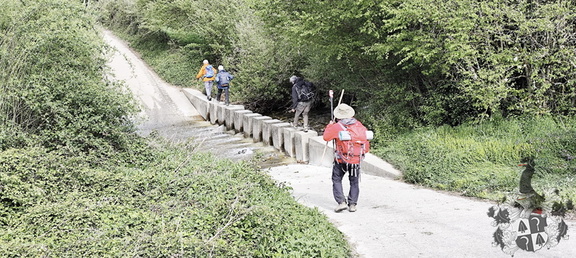 Camino Francés: Roncesvalles - Zubiri