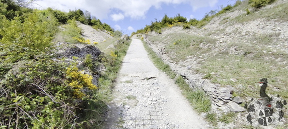 Camino Francés: Roncesvalles - Zubiri