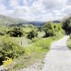 2024-04-22 - Camino Francés: Roncesvalles - Zubiri