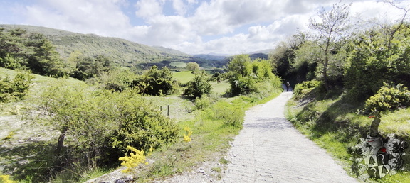 Camino Francés: Roncesvalles - Zubiri