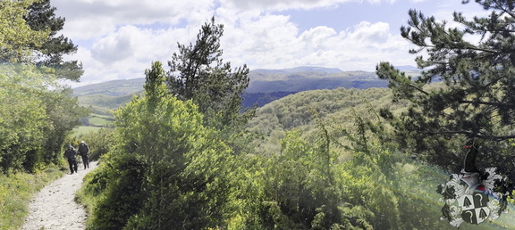 Camino Francés: Roncesvalles - Zubiri