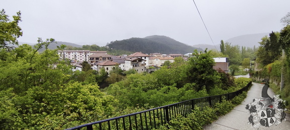 Camino Francés: Zubiri - Pamplona
