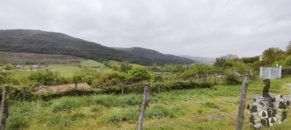 Camino Francés: Zubiri - Pamplona