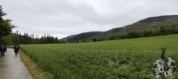 Camino Francés: Zubiri - Pamplona