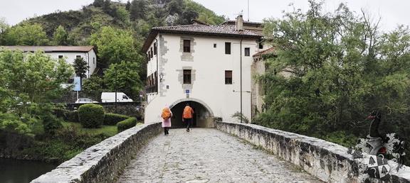Camino Francés: Zubiri - Pamplona