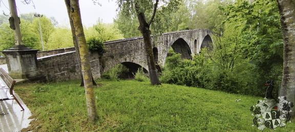 Camino Francés: Zubiri - Pamplona