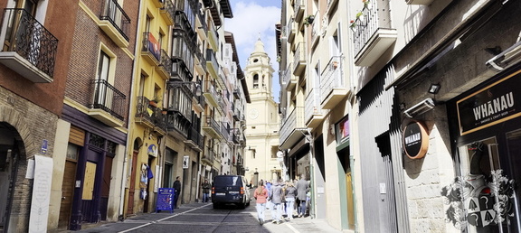 Camino Francés: Zubiri - Pamplona