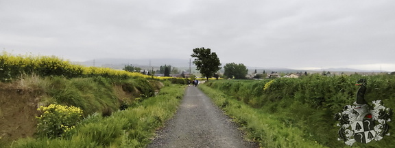 Camino Francés: Pamplona - Puente la Reina