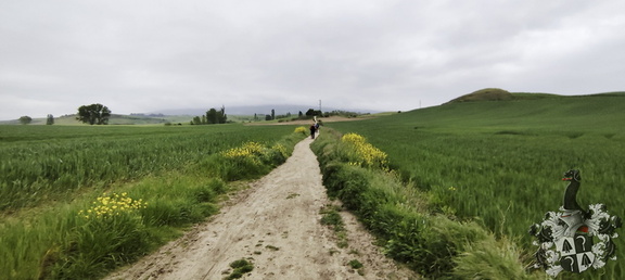 Camino Francés: Pamplona - Puente la Reina