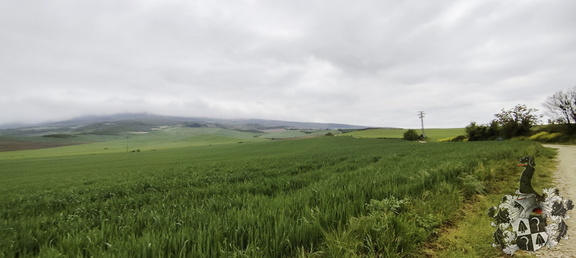 Camino Francés: Pamplona - Puente la Reina